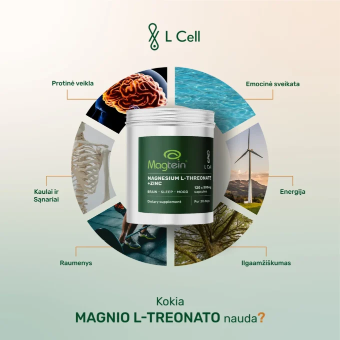 Magnio L-Treonatas (500mg kapsulės, 120 vnt.) - Image 3