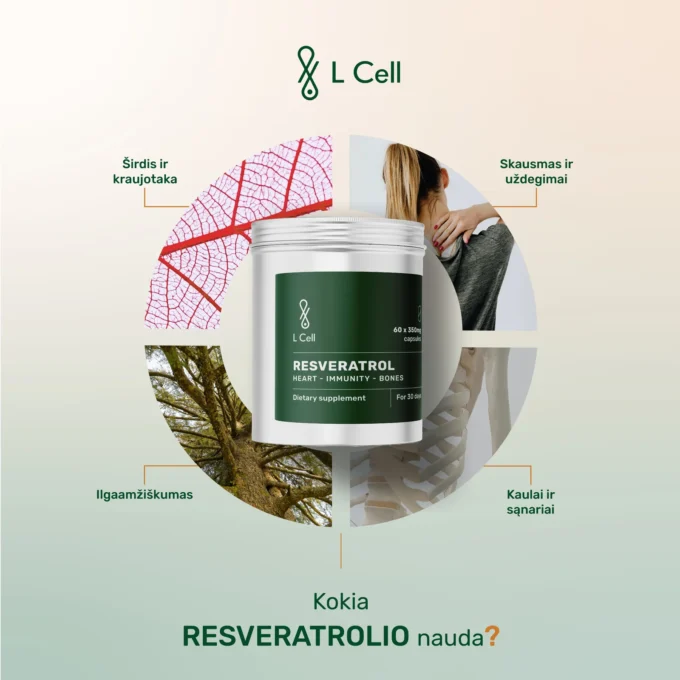 Trans Resveratrolis (300mg kapsulės, 60 vnt.) - Image 3