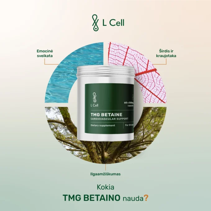 TMG Betainas (500mg kapsulės, 60 vnt.) - Image 3