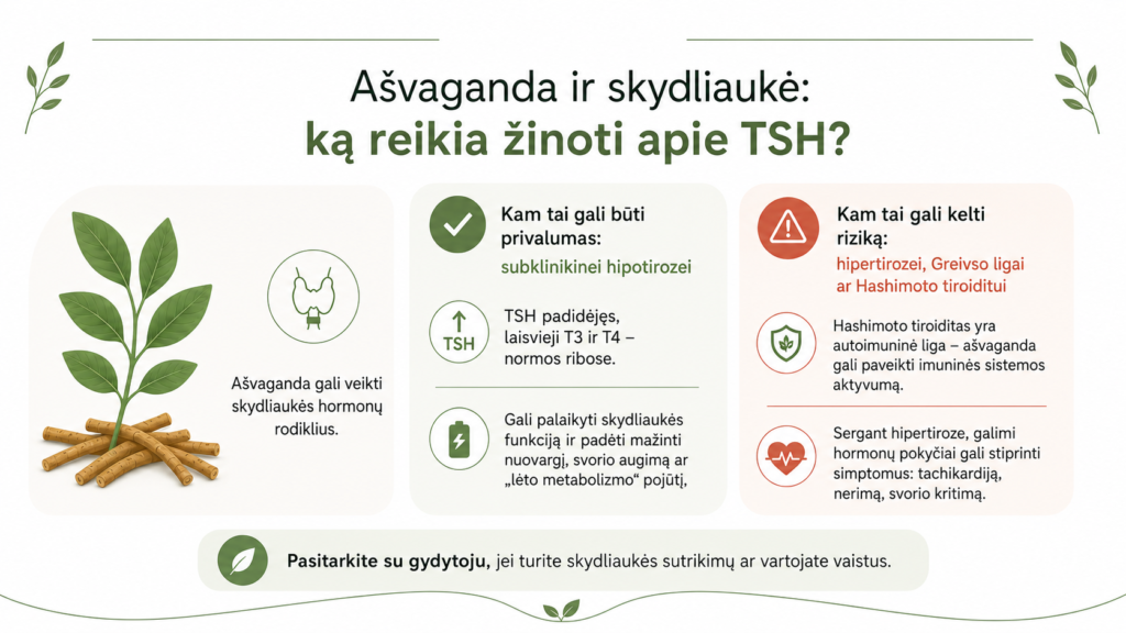 Ašvagandos nauda: ką sako mokslas apie poveikį stresui, miegui ir hormonams