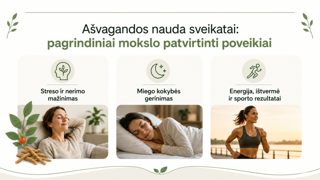 Ašvagandos nauda: ką sako mokslas apie poveikį stresui, miegui ir hormonams