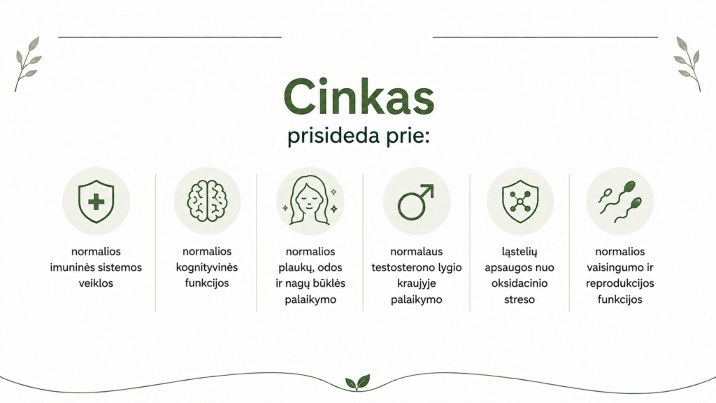 Cinko nauda organizmui: funkcijos, trūkumo simptomai ir kaip teisingai vartoti