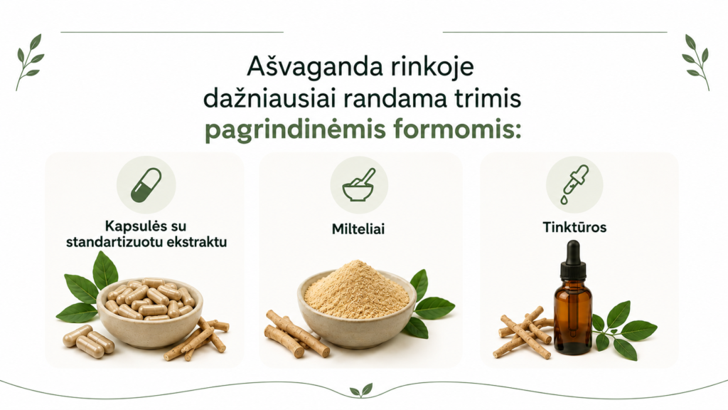 Ašvagandos nauda: ką sako mokslas apie poveikį stresui, miegui ir hormonams