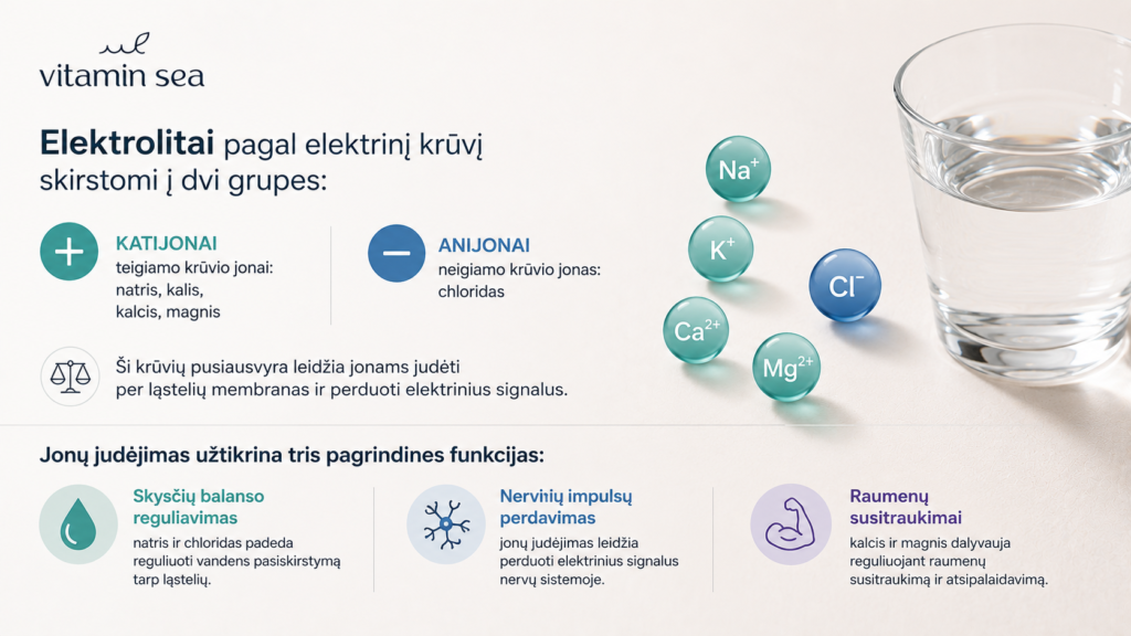 Elektrolitai – kas tai ir kodėl jie svarbūs organizmui?